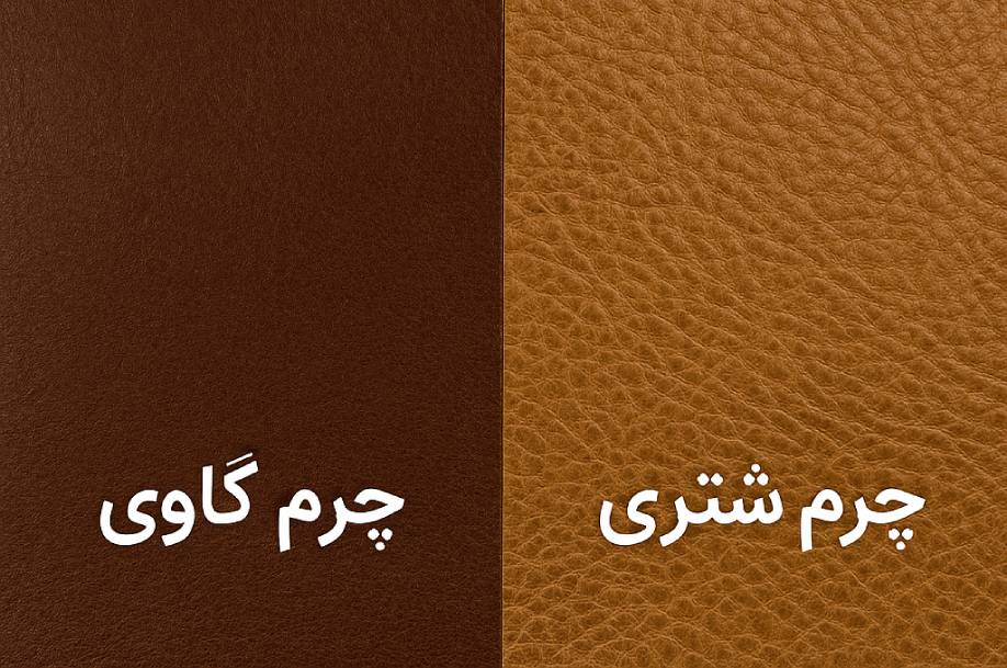 چرم گاوی، بزی یا شتری؟ کدام برای کفش یا کیف بهتر است؟
