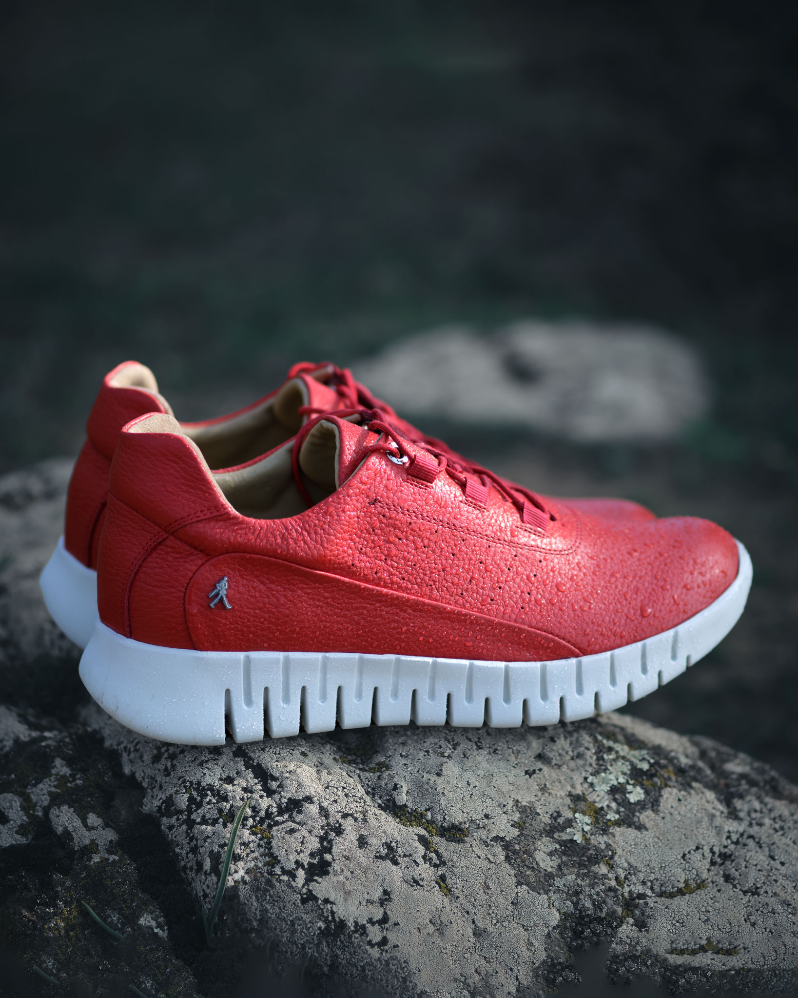 سایر محصولات